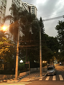 Sáo Paulo in the evening