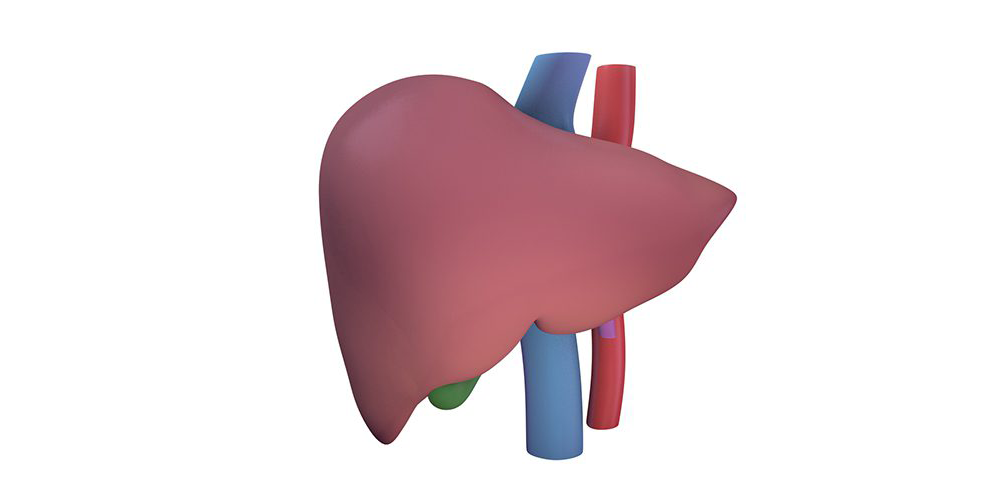 Biomedical communications for liver transplants