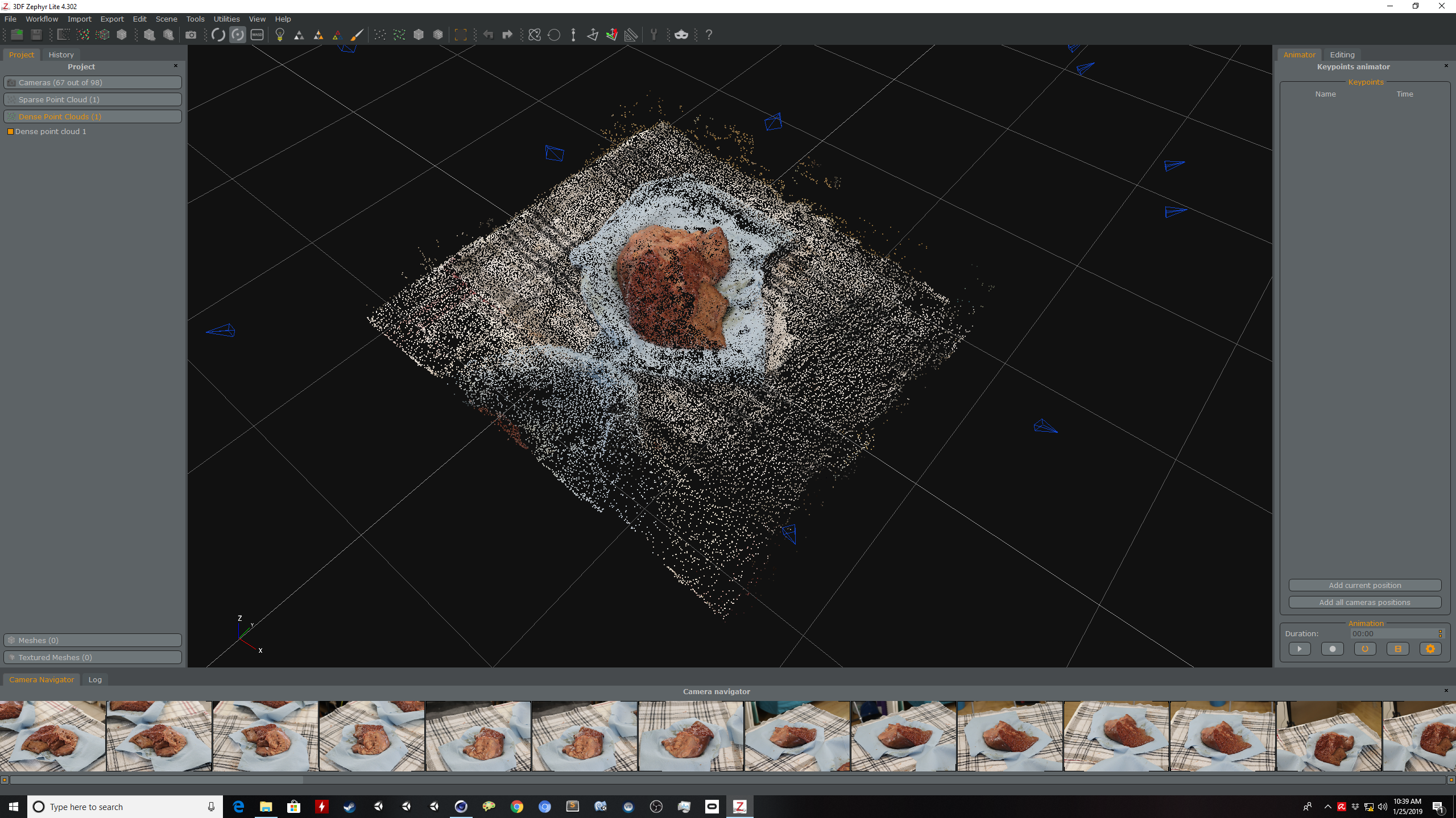 cow liver recon point cloud