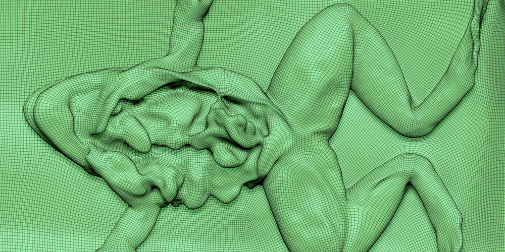 Photogrammetry frog dissection