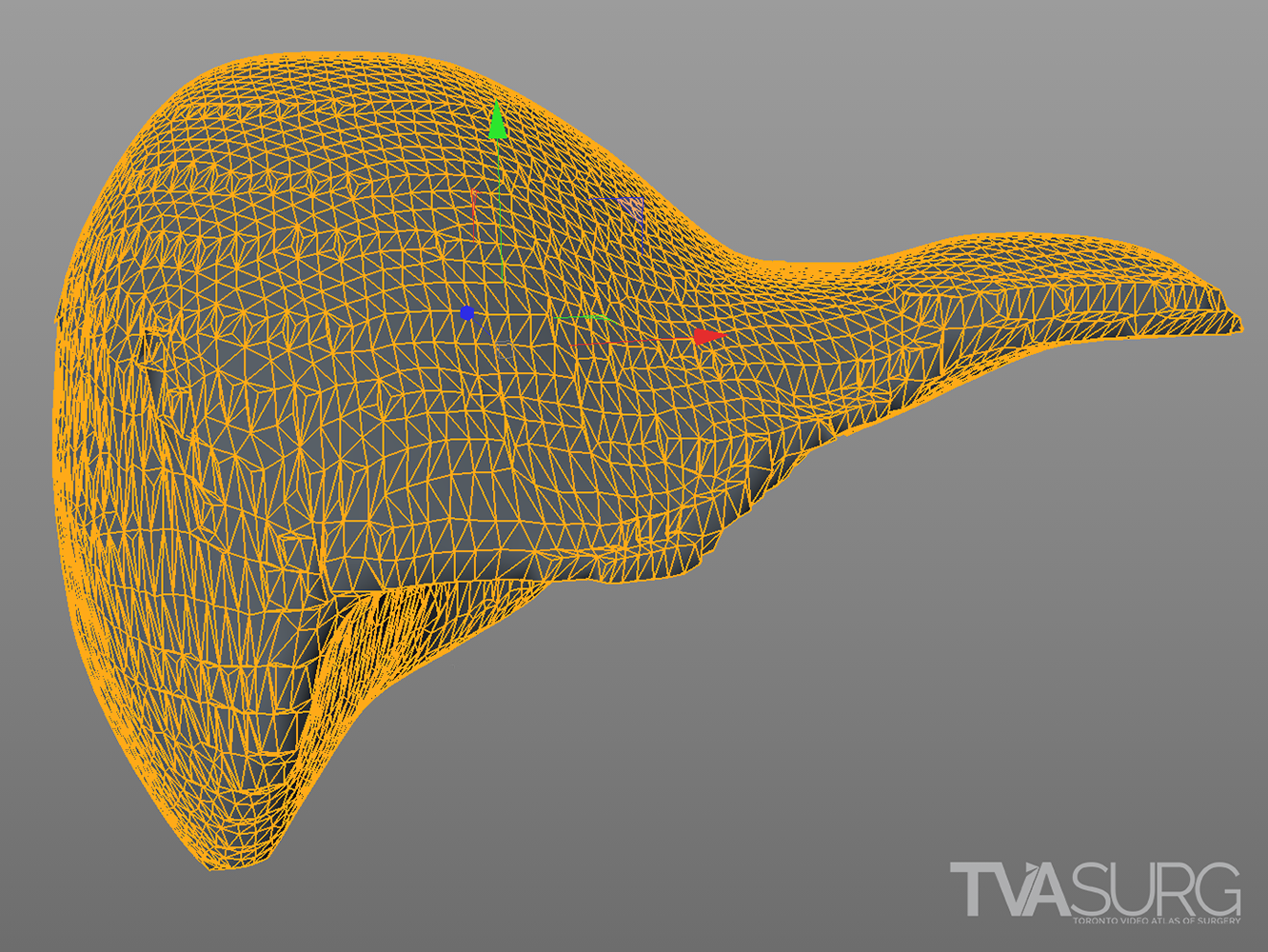 Model topology