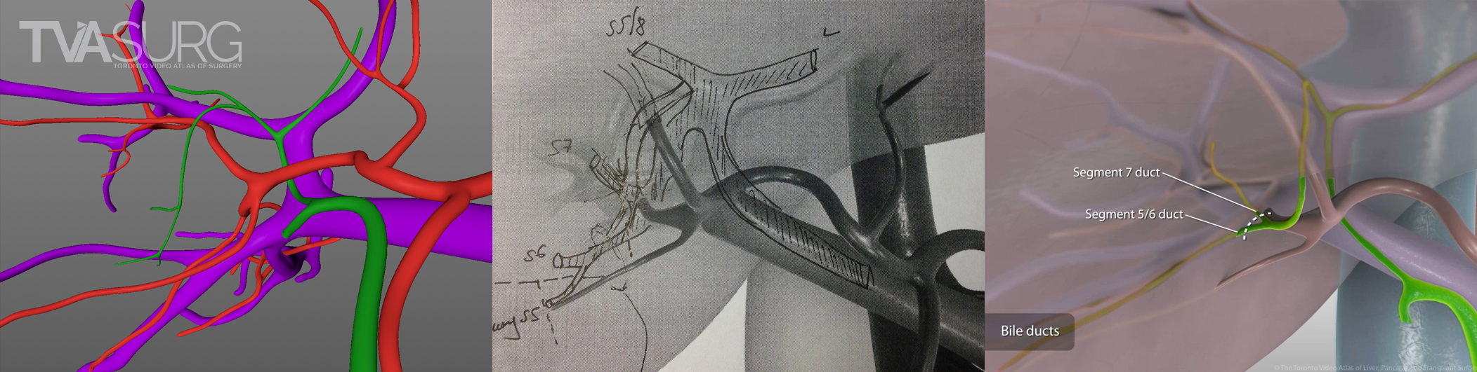 Segment 6/7 revisions