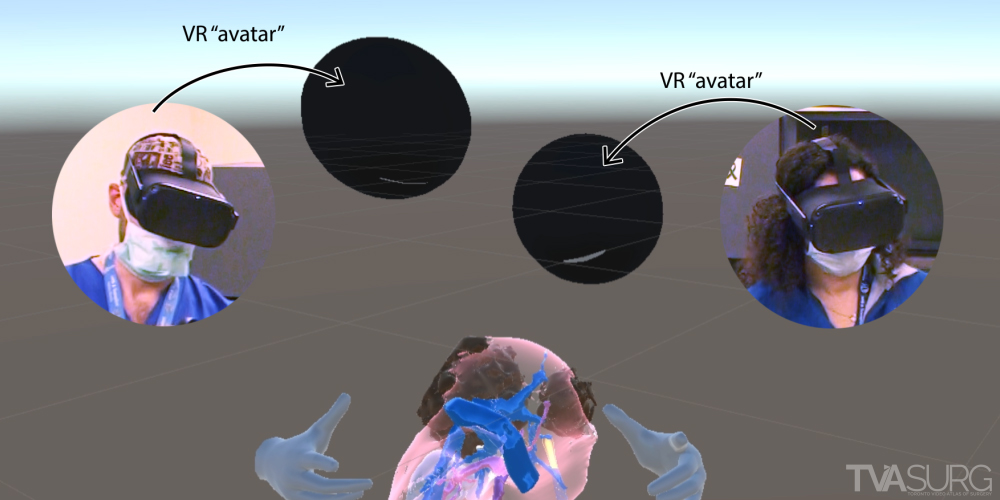 Local/International use cases for VR surgical anatomy modules