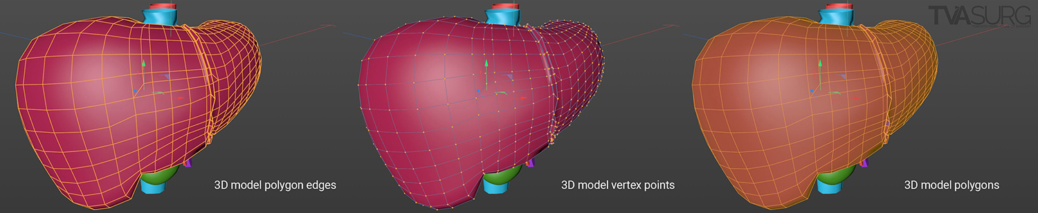 [image for model surface]