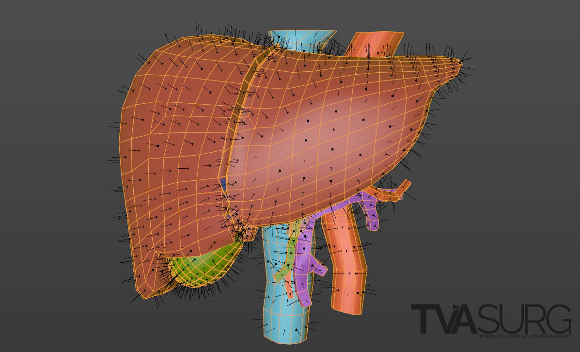 [image for polygon normals]